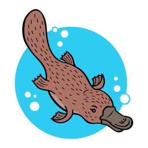 Platypus