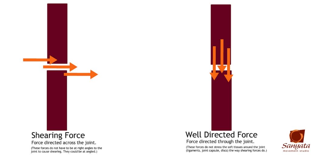 Shearing Forces with SMS Logo