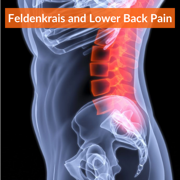 Image of skeleton with low back highlighted in read for Feldenkrais for Lower Back Pain